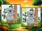 遊戲Animal: Find The Differences在線