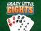 遊戲Crazy Little Eights在線