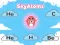 遊戲SkyAtoms在線