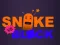 遊戲Snake vs Blocks在線