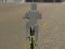 遊戲Bicycle Simulator在線