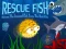 遊戲Rescue Fish在線