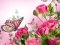 遊戲Butterflies Puzzle在線