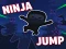 遊戲Ninja jump在線