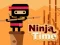 遊戲Ninja Time在線