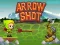 遊戲Arrow Shoot在線