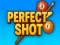 遊戲Perfect Shot在線