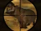 遊戲Classical Hippo Hunting在線