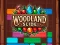 遊戲Woodland Slide在線