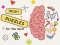 遊戲Brain Puzzles Quests在線