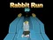 遊戲Rabbit Run 3D在線