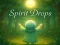 遊戲Spirit Drops在線