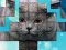 遊戲PicPu Cat在線