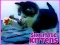 遊戲Six Little Kittens在線
