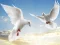 遊戲Flying Birds在線
