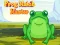 遊戲Frog Match Master在線