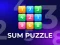 遊戲Sum Puzzle: Arithmetic在線