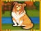 遊戲Bernese Mountain Dog Escape在線