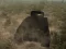 遊戲Tank Battle在線