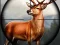 遊戲Safari Animal Hunter在線