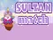 遊戲Sultan Match在線