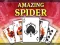 遊戲Amazing Spider Solitaire在線