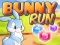 遊戲Bunny Run在線