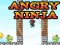 遊戲Angry Ninja在線