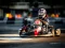 遊戲Kart Karting在線