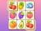 遊戲Zoo Tile在線