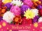 遊戲2019 Mother's Day Puzzle在線