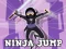 遊戲Ninja Jump在線