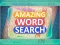 遊戲Amazing Word Search在線