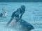 遊戲Power Boat Racing 3D在線