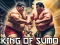 遊戲King Of Sumo the ultimate brawl在線