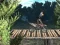 遊戲Bike Trial Xtreme Forest在線