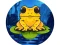 遊戲Frog Jumper在線