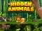 遊戲Hidden Animals在線