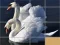 遊戲Animals Slide Puzzle在線