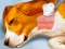 遊戲Dog Hospital在線