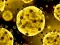 遊戲Coronavirus Slide在線