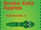 遊戲Snake Eats Apples在線