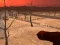 遊戲Wasteland Shooters在線