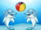 遊戲Dolphin Show在線