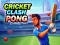 遊戲Cricket Clash Pong在線