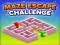 遊戲Maze Escape Challenge在線