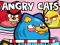 遊戲Angry Cats在線