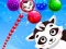 遊戲Raccoon Rescue在線