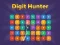 遊戲Digit Hunter在線