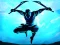 遊戲Shadow Ninja Revenge在線